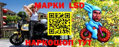 амф Гусев