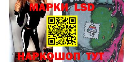 индика Гусь-Хрустальный