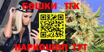 индика Гусь-Хрустальный