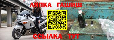 амф Гусев