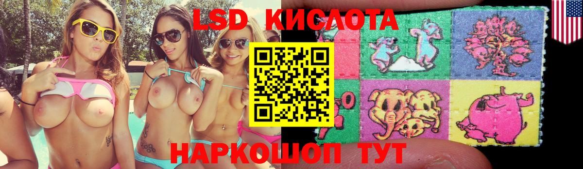 Лсд 25 экстази ecstasy  Вход с VPN  Лсд 25 экстази ecstasy  Новодвинск 