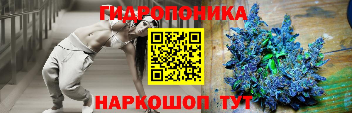Канабис планчик Новодвинск